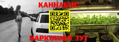 прущие крисы Нальчик